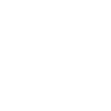 Motorola Logo